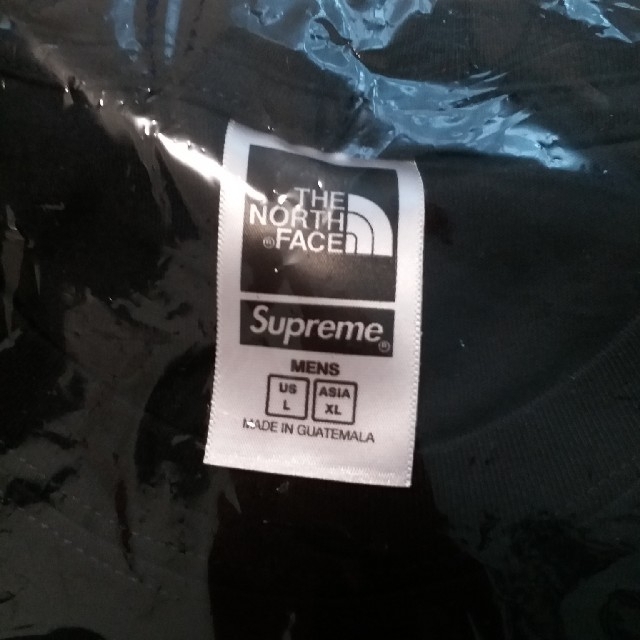 Supreme(シュプリーム)のSupreme The North Face Bandana Tee メンズのトップス(Tシャツ/カットソー(半袖/袖なし))の商品写真