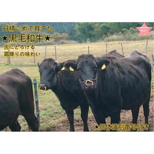 ★岡山県産黒毛和牛★ランプ1kg•焼肉・BBQ•牛肉・肉・贈答品・送料無料  食品/飲料/酒の食品(肉)の商品写真