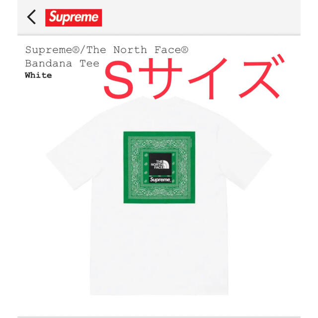 Supreme / The North Face Bandana Tee白STシャツ/カットソー(半袖/袖なし)