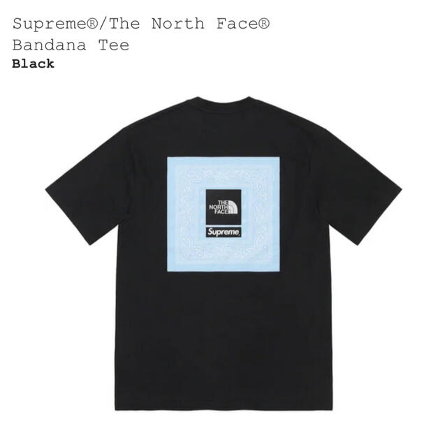 Supreme / The North Face Bandana Tee黒XL