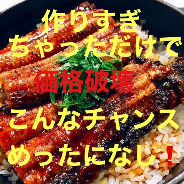 食品/飲料/酒作りすぎちゃいました企画（合計３尾でお届け）