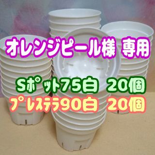 《Sポット75》白 20個他 スリット鉢プラ鉢2.5号鉢相当 多肉植物プレステラ(プランター)