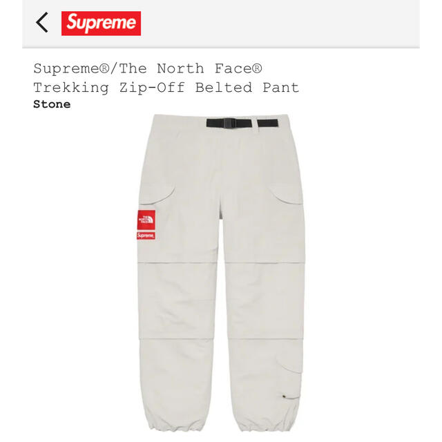 supreme  north face trekking pant