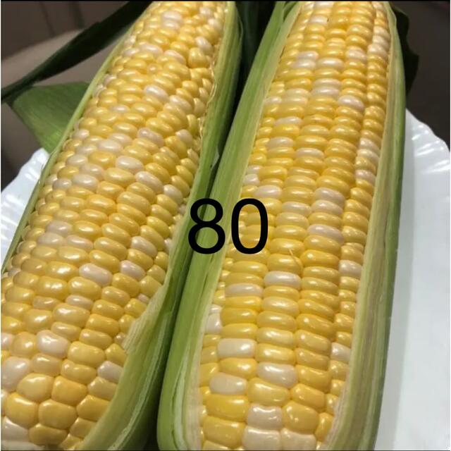 80とうもろこし　野菜