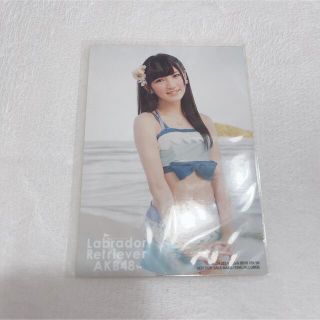 エーケービーフォーティーエイト(AKB48)の岡田奈々　生写真　ラブラドールレトリバー(アイドルグッズ)