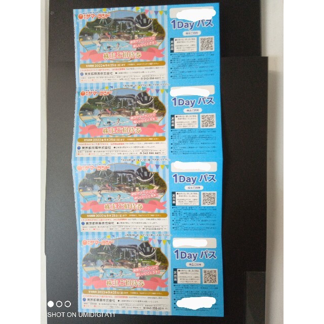 東京サマーランド株主優待4枚 限定セット チケット | camaraibema.pr