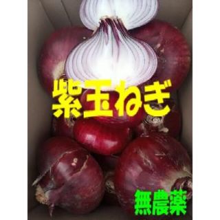 大分県産 紫玉ねぎ  ５kg(野菜)