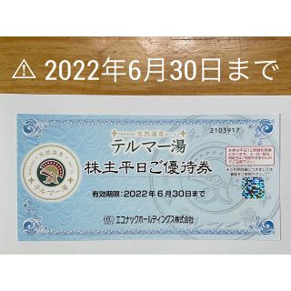 値下げしました！テルマー湯　平日優待券(その他)