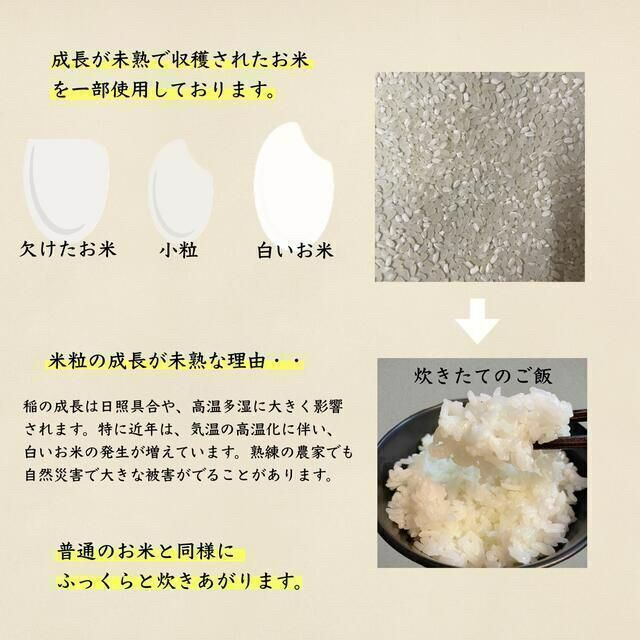 【九州限定】生活応援米30kg コスパ米 お米 おすすめ 激安 美味しい