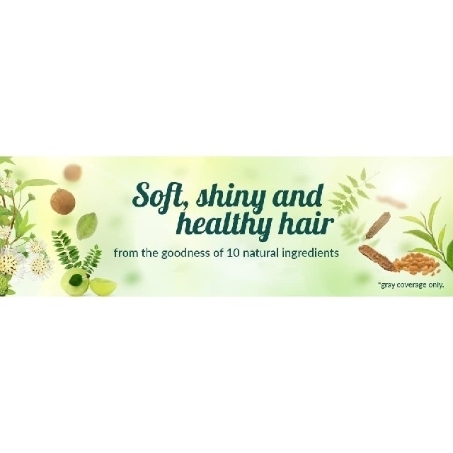 予約販売品 ヒマラヤ ナチュラルシャインヘナ 3個 Himalaya ヒマラヤ ナチュラルシャインヘナ 2個