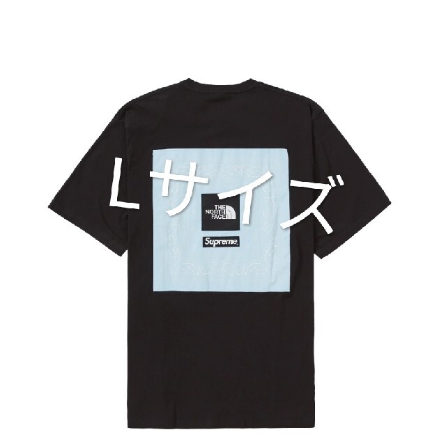 Tシャツ/カットソー(半袖/袖なし)Supreme®/The North Face® Bandana Tee  L