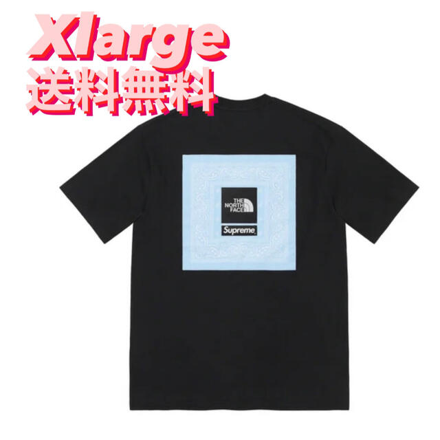 Supreme(シュプリーム)のSupreme®/The North Face®  Bandana Tee メンズのトップス(Tシャツ/カットソー(半袖/袖なし))の商品写真