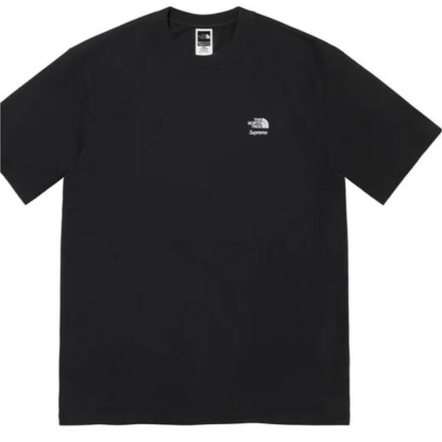 Supreme(シュプリーム)のSupreme®/The North Face®  Bandana Tee メンズのトップス(Tシャツ/カットソー(半袖/袖なし))の商品写真