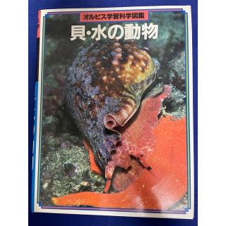 【りんりん様専用】オルビス学習科学図鑑 貝、海の生物、魚　2冊(ノンフィクション/教養)