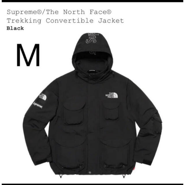 メンズsupreme north face mサイズ