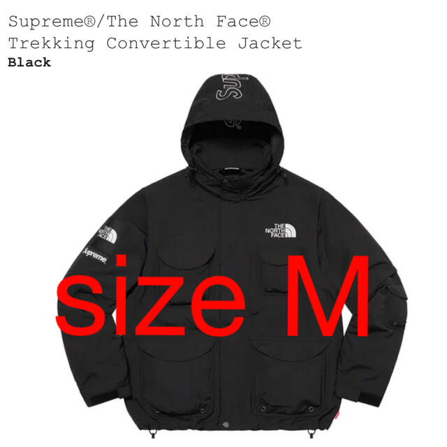 Supreme The North Face Trekking Jacket