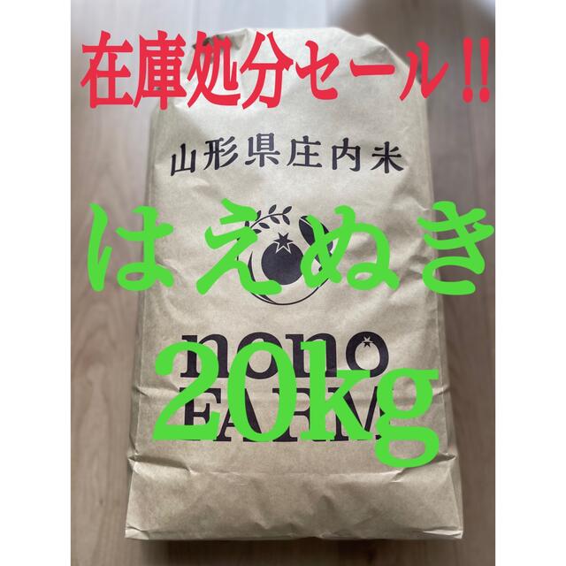 はえぬき　20kg　白米　米/穀物