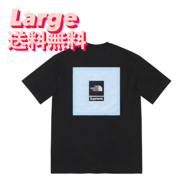 Supreme®/The North Face®  Bandana TeeBlackSIZE