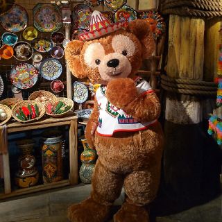 ディズニー(Disney)のシェリーメイさん 専用ページ(キャラクターグッズ)