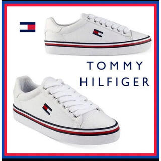 トミーヒルフィガー(TOMMY HILFIGER)のスニーカー 23.5cm トミー Tommy ホワイト シューレース 日本未入荷(スニーカー)