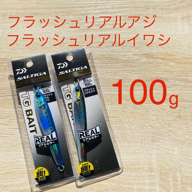 DAIWA タングステン製 メタルジグ ソルティガ TGベイト 100g ×2本