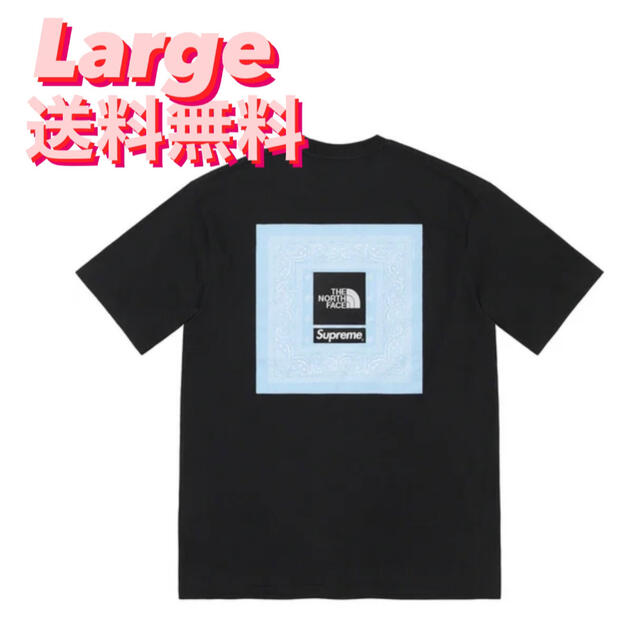 Supreme(シュプリーム)のSupreme®/The North Face®  Bandana Tee メンズのトップス(Tシャツ/カットソー(半袖/袖なし))の商品写真