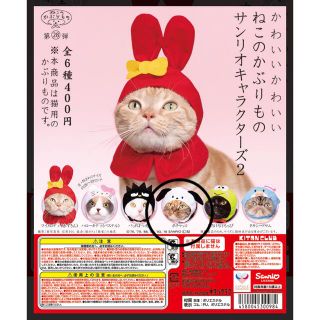 サンリオ(サンリオ)のねこのかぶりもの　サンリオキャラクターズ(猫)