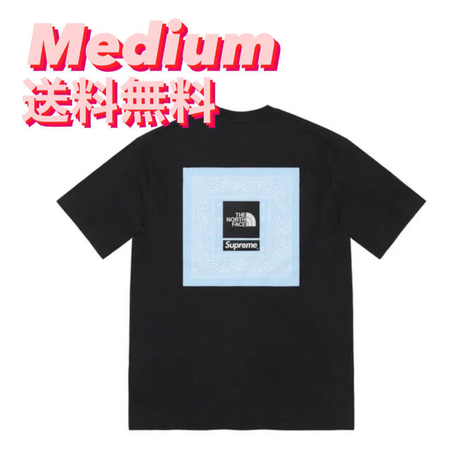 Supreme®/The North Face®  Bandana Tee