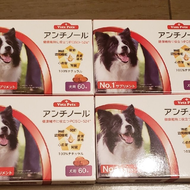 犬猫アンチノール60粒4箱 www.krzysztofbialy.com