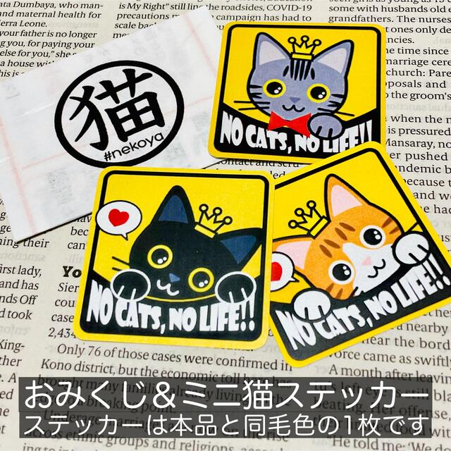 【ハチワレ鼻桃】猫がいます四角ステッカー5y　ネコねこシール その他のペット用品(猫)の商品写真