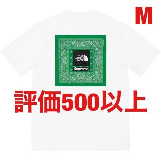 シュプリーム(Supreme)のSupreme®/The North Face® Bandana Tee (Tシャツ/カットソー(半袖/袖なし))