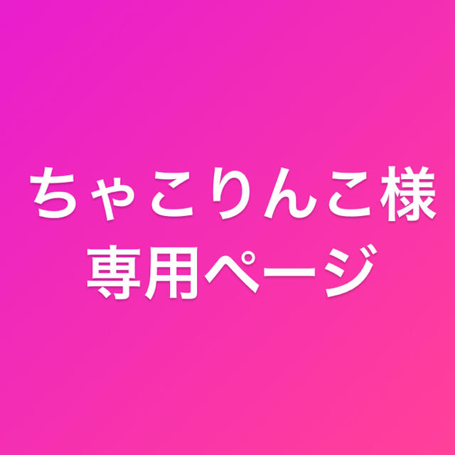 ちゃこりんこさま専用ページその他 - その他