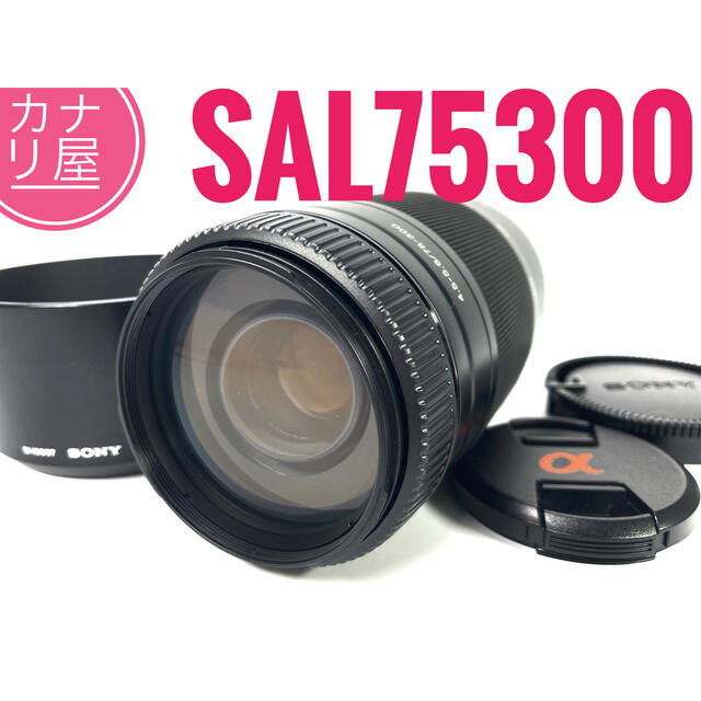 ✨安心保証✨SONY 75-300mm f/4.5-5.6 SAL75300