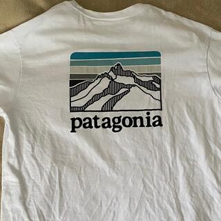パタゴニア(patagonia)の【美品】Patagonia Tシャツ メンズ M 白（パタゴニア）(Tシャツ/カットソー(半袖/袖なし))