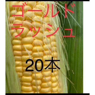 ゴールドラッシュ　あい　様専用(野菜)