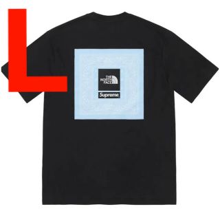 シュプリーム(Supreme)のSupreme The North Face Bandana Tee(Tシャツ/カットソー(半袖/袖なし))