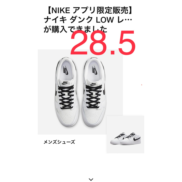 Nike Dunk Low クリアランス特売中 メンズ | bca.edu.gr