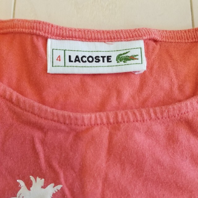 LACOSTE(ラコステ)のLACOSTE Tシャツ 4歳 キッズ/ベビー/マタニティのキッズ服女の子用(90cm~)(Tシャツ/カットソー)の商品写真