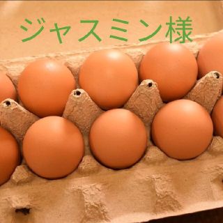 ジャスミン様専用　平飼いたまご30個(野菜)