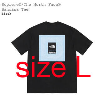 シュプリーム(Supreme)のSupreme The North Face Bandana Tee L(Tシャツ/カットソー(半袖/袖なし))