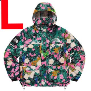 シュプリーム(Supreme)のSupreme The North Face Trekking Jacket(マウンテンパーカー)