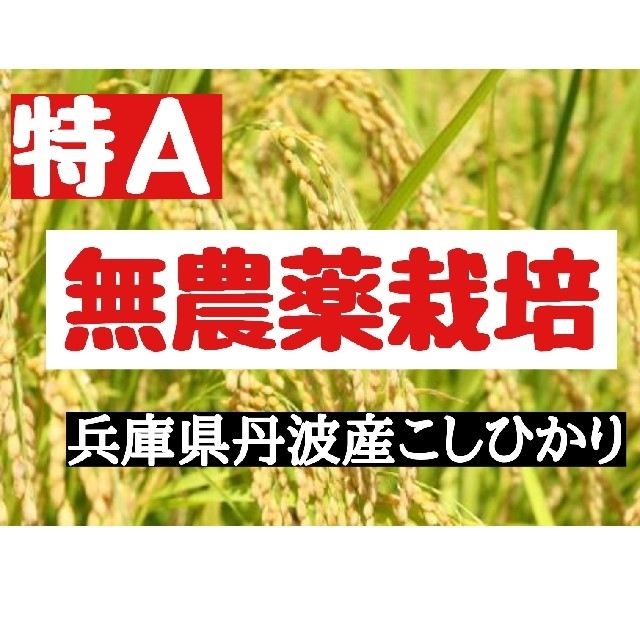 兵庫県丹波産こしひかり玄米10kg(令和3年産)