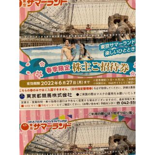 ★ボンバー様専用★東京サマーランド  株主優待チケット　3枚セット(その他)