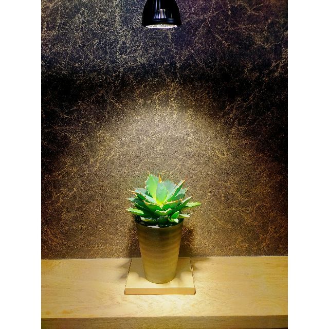 植物育成ライト 15W 4000K 4個 黒色 太陽光 フルスペクトルLED | www