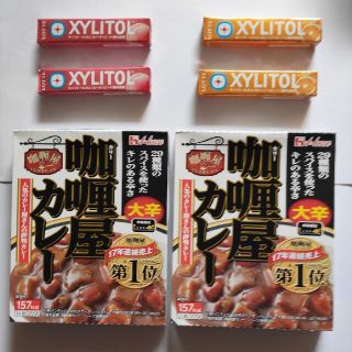 レトルトカレー2個 キシリトールガム4個セット(レトルト食品)