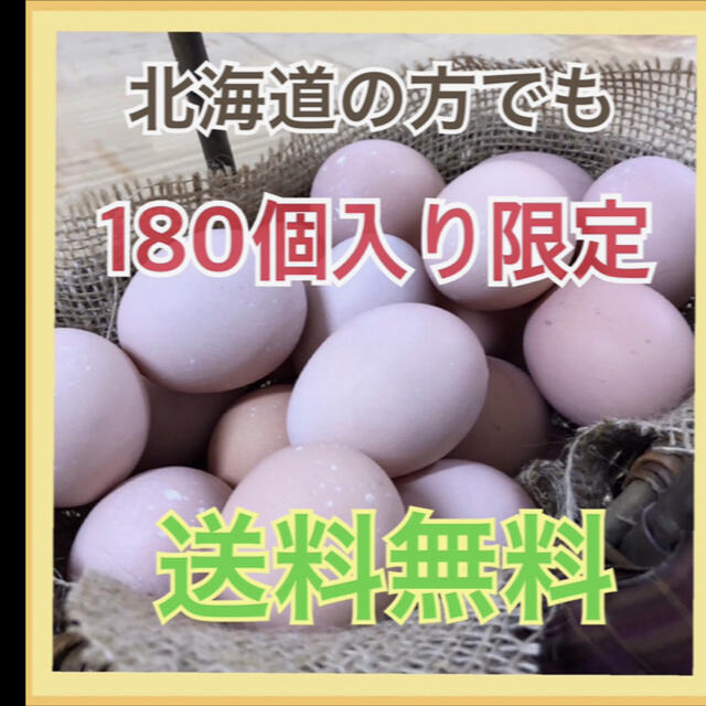 コーチン180