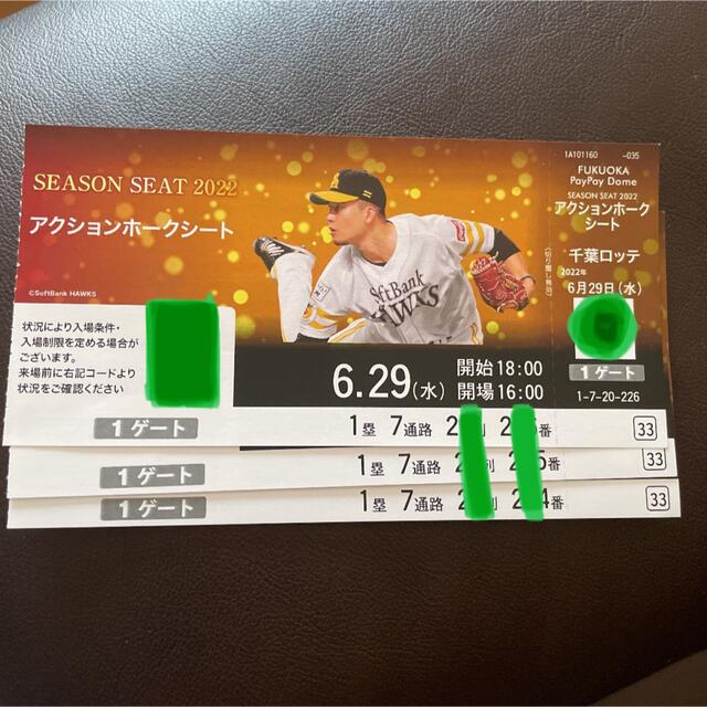 7月29日(土)ホークス vs ロッテ B指定席一塁側通路側ペア