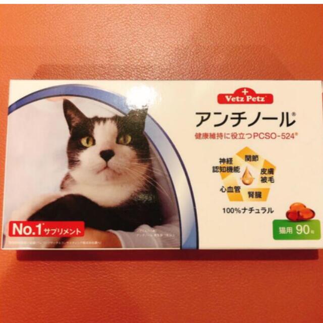 Vetz Petz アンチノール　猫用　90粒