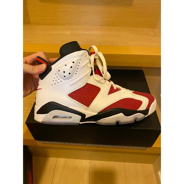 Nike Air Jordan 6 "Carmine" (2021)