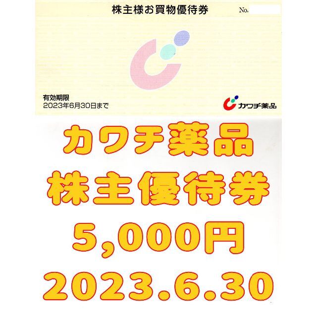 カワチ薬品 株主優待券 5000円 2023.6.30 | ruspetsnaz.ru